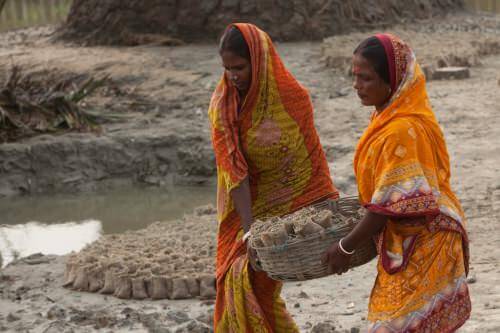 Sundarbans