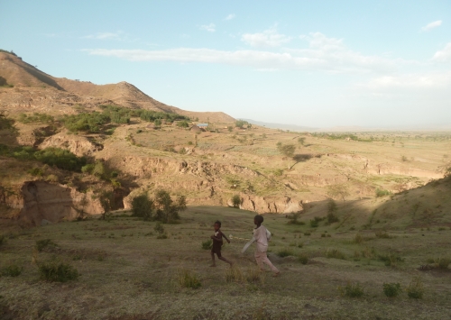 Ethiopia, livelihoods, agroforestry