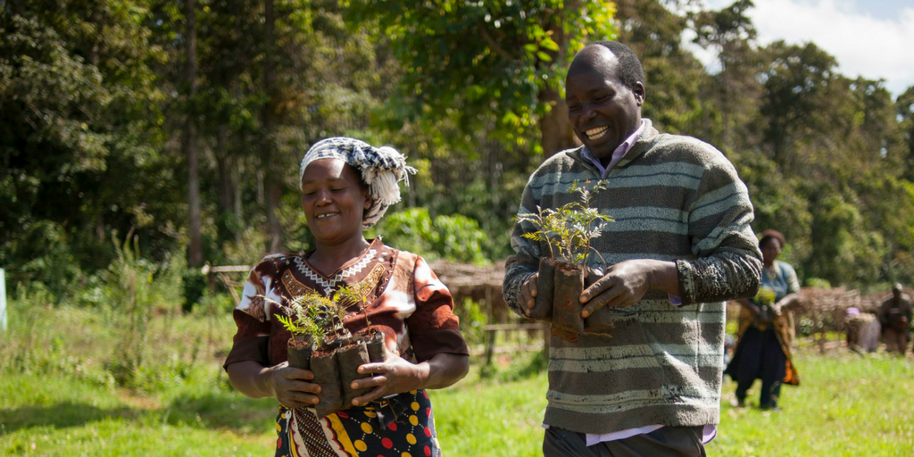Yes, trees can improve lives! Livelihoods Funds