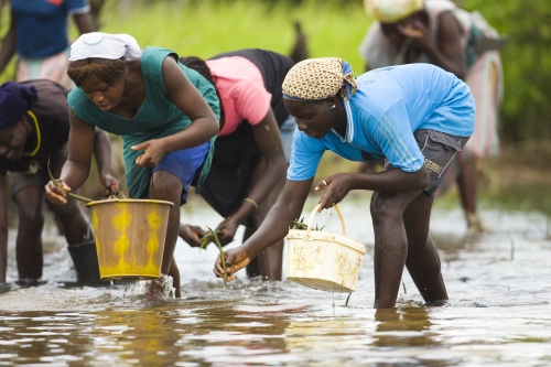 back to the water for planting…